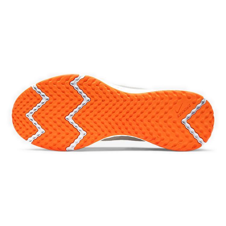 Nike Revolution 5 Platinum Tint