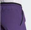 Брюки Adidas terrex multi liteflex pants aurora plum