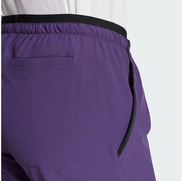 Брюки Adidas terrex multi liteflex pants aurora plum