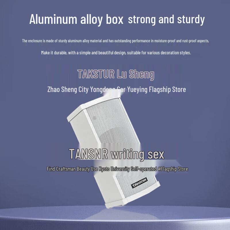 TAKSTAR Professional Constant Voltage Wall-Mounted Column Speaker