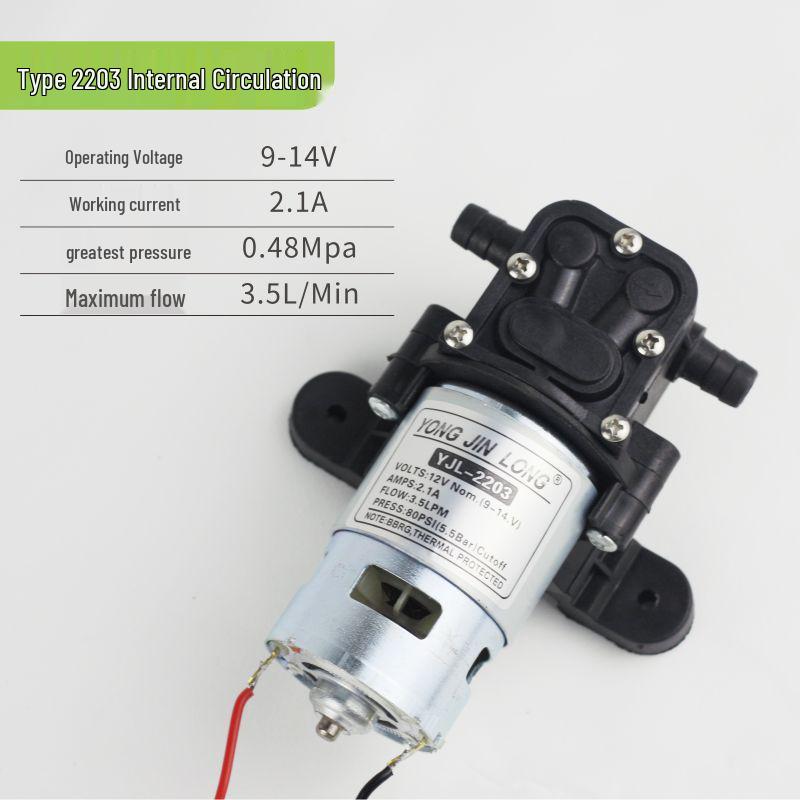 Pompa per Spruzzatore Elettrico con Motore in Rame da 12V: Pompa a membrana autoadescante, Modelli 2203/4200/5500.