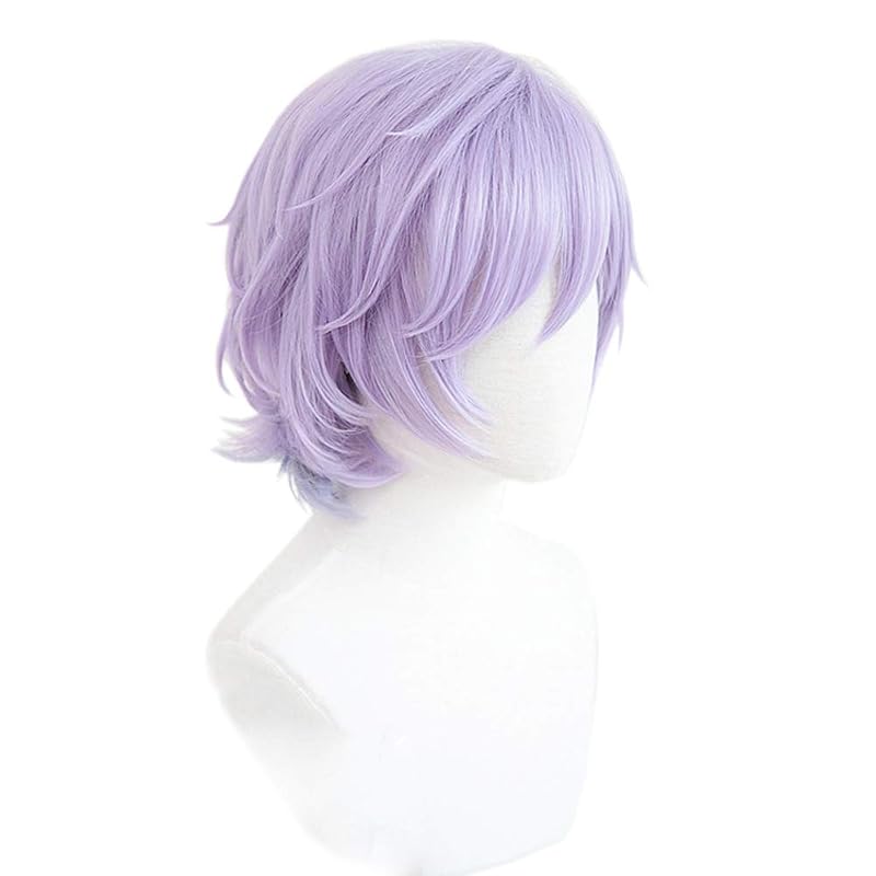 Cosplay wig, heat-resistant, disguise wig, costume accessory (purple and light blue gradient), for parties, costume parties, cultural festivals,