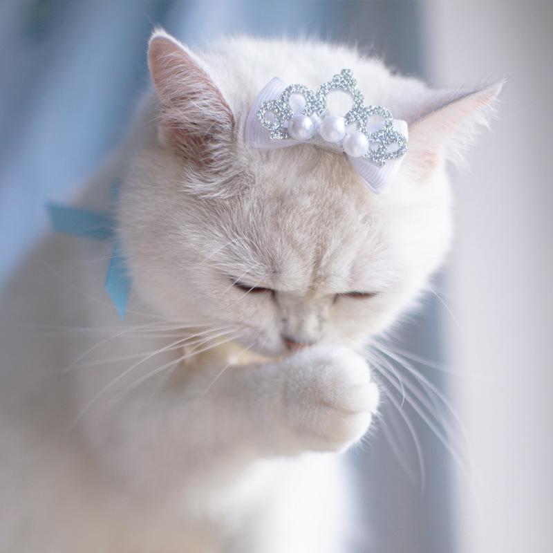 Crown Pet Bow Hair Clip Dog Head Accessories Maltese Yorkshire Cat Hair Clip Puppy Clip
