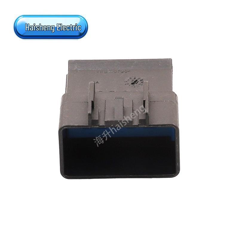 Black Wiring Harness Plug: Domestic Car Connector with Large and Small Holes (15336209 & 15336205)