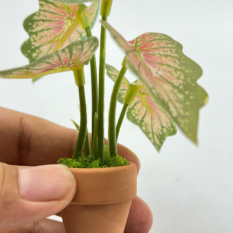 1Pcs Miniature Scandinavian Style Decoration Dollhouse Green Plants Mini Taro Turtle Back Green Potted Plants Props Model
