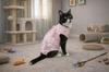 Postoperative Clothing for Cat Size Dog Apron Comfortable Cotton Rabbits
