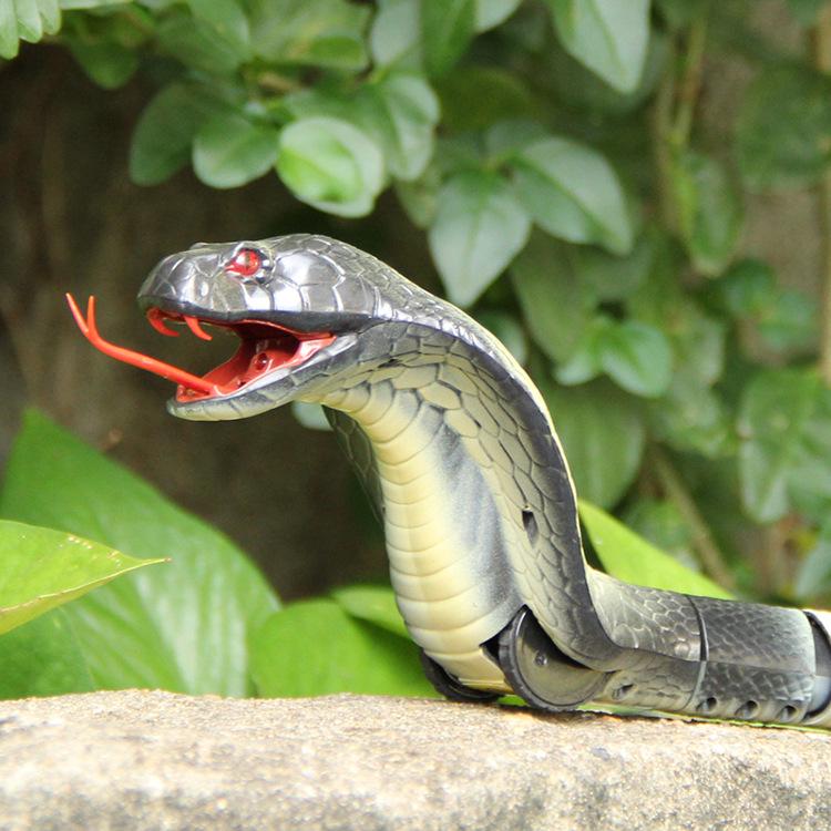 Realistic Remote Control Rattlesnake Toy: King Cobra Experience