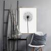Black and White Feather Wall Art Pictures Modern Dandelion Quotes Canvas Painting Nordic Posters for Living Room Home Decor