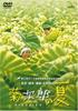 Summer Kikujiro's [DVD]
