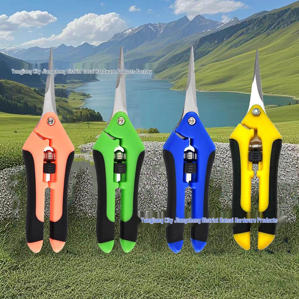 Stainless Steel Pruning Shears – Straight Head Elbow Flower, Fruit, and Vegetable Scissors.