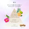 Elixir Brightening Lotion Moisture Type 170ml with UV Emulsion 5ml Anti-Aging Skincare Set
