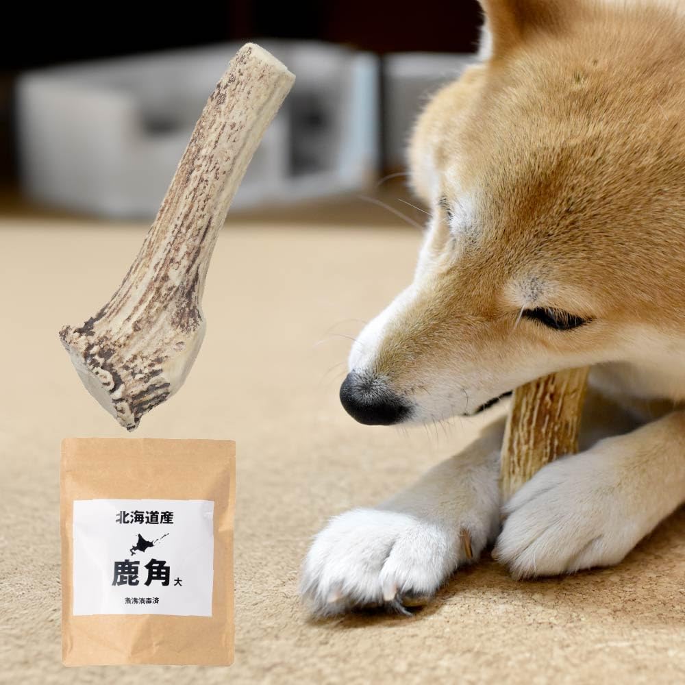 

Maruichi Okada Shoten Deer Antler Dog Hokkaido (Large)