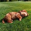 TreasuringU Peluche Animali Realistici Maiale Gatto Cane Mucca Bambola Imbottita Morbido Cuscino Animale Divertente Decorazione Divano Regalo di Compleanno