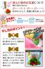 POOKIE Pet Toy for Nosework Sniffing Rolling Treat Squeaky Stress Lack of Slower Prevents Fast Eating Dogs Ball, Training, Search, Sound, Relief,