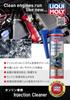 LIQUIMOLY Injection Cleaner 300ml 20867