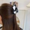Acetic Acid Acetate Cat Hair Claw Korean Style Headdress Kitten Claw Clip Hair Accessories Cartoon Animal Shark Clip Female