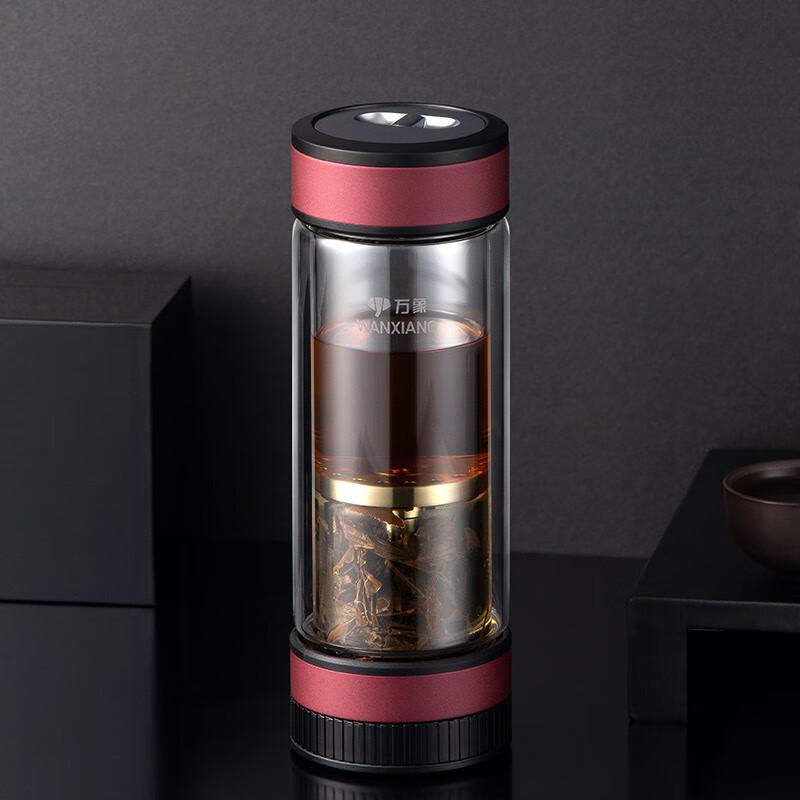 V258L Double-Wall Glass Tea Infuser Bottle