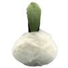 Women' Winter Earmuffs Warm Foldable Plush Insulated Warm Headband