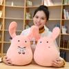 30Cm Plush Toy Of Shonen Hanako-Kun Rabbit Doll Anime Body Pillow Birthday Gift For Boys And Girls