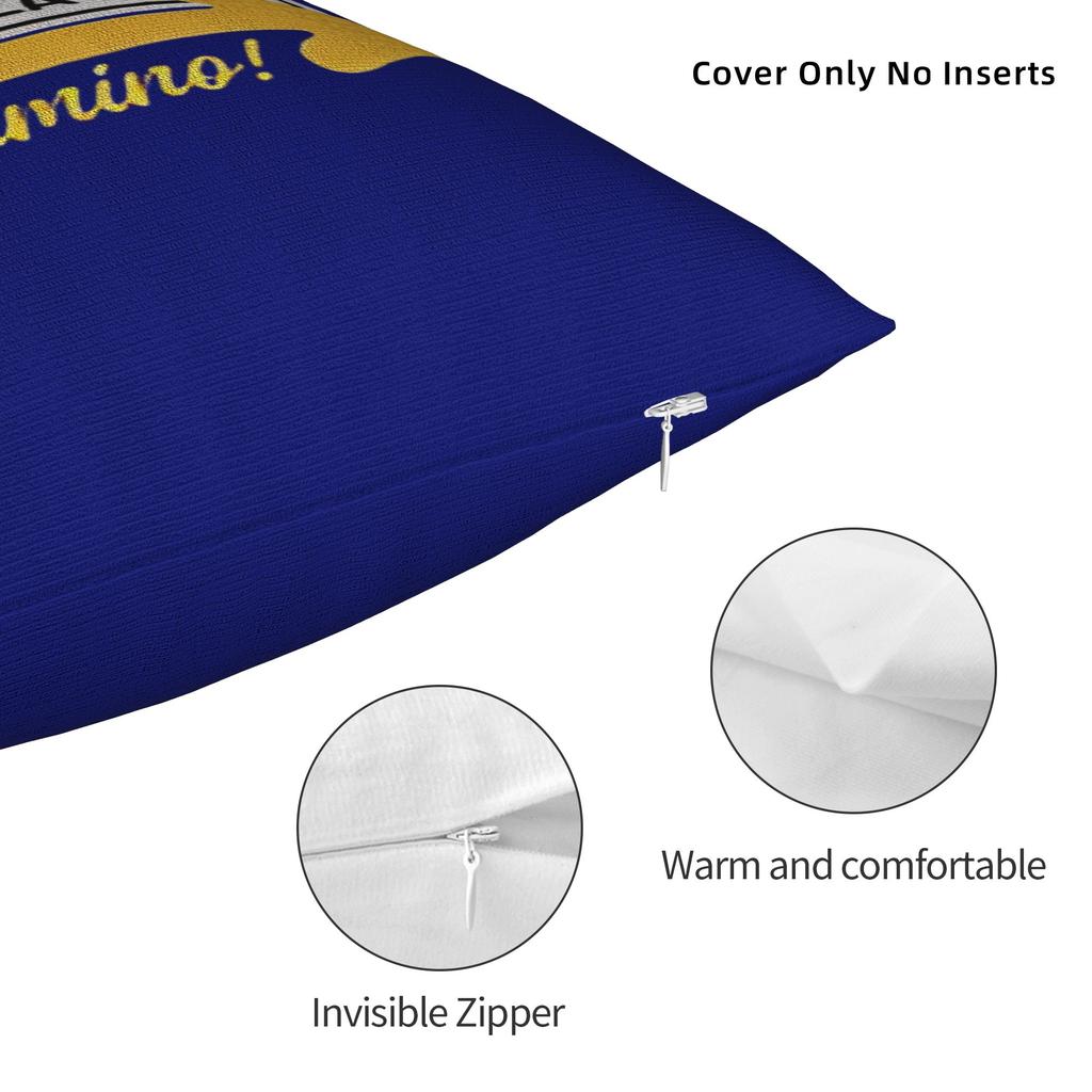 Camino De Santiago Square Pillow Cases Frances 790 Plate Cushion Cover Funny Polyester Decor Pillowcase For Seat 40*40Cm