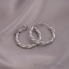 European American Style Luxury Stud Earrings: Elegant Cross-border Niche Hoops, Versatile Celebrity-inspired Accessories