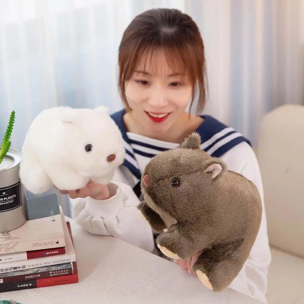 Nice  18Cm Plush Toy Simulation Wombat Toy Practical Stuffed Simulation Wombat Toy Soft Stuffed Guinea Pig Doll