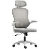 Ergonomic Office Chair, Mesh Backrest, Height Adjustable, Foldable Armrests, 5 Casters, Grey