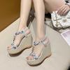 Fashion Wedge With Platform Waterproof Round Toe Tip Ladies Shoes Designer 2025 Trending Wholesale Vip Super-high Heel Women's Sandals
