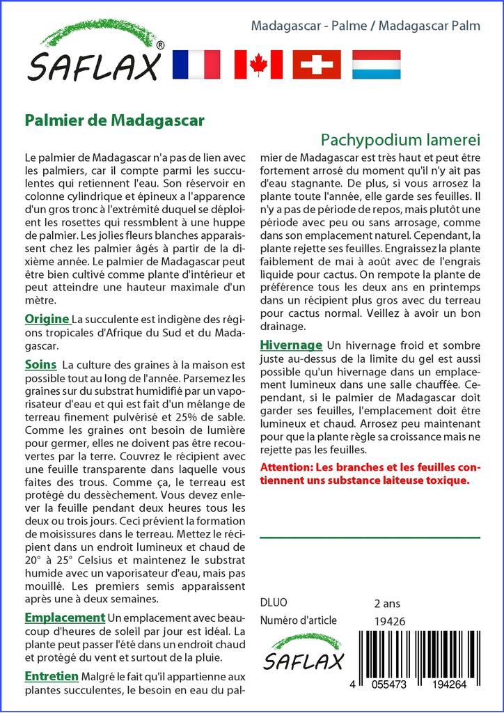 SAFLAX Garden In the Bag - Madagascar Palm - 10 Seeds - With Substrate In a Fitting Stand Up Bag - Pachypodium Lamerei
