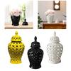 Ceramic Flower Vase Ginger Jar Home Decor 19 Inch with Lid Lattice Porcelain Temple