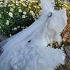 Pure White Wedding Dresses For Small Medium Dogs Puppy Outdoor Coats Fashion Handmade Lace Crystal Bow Dress Pet Dog Clothes