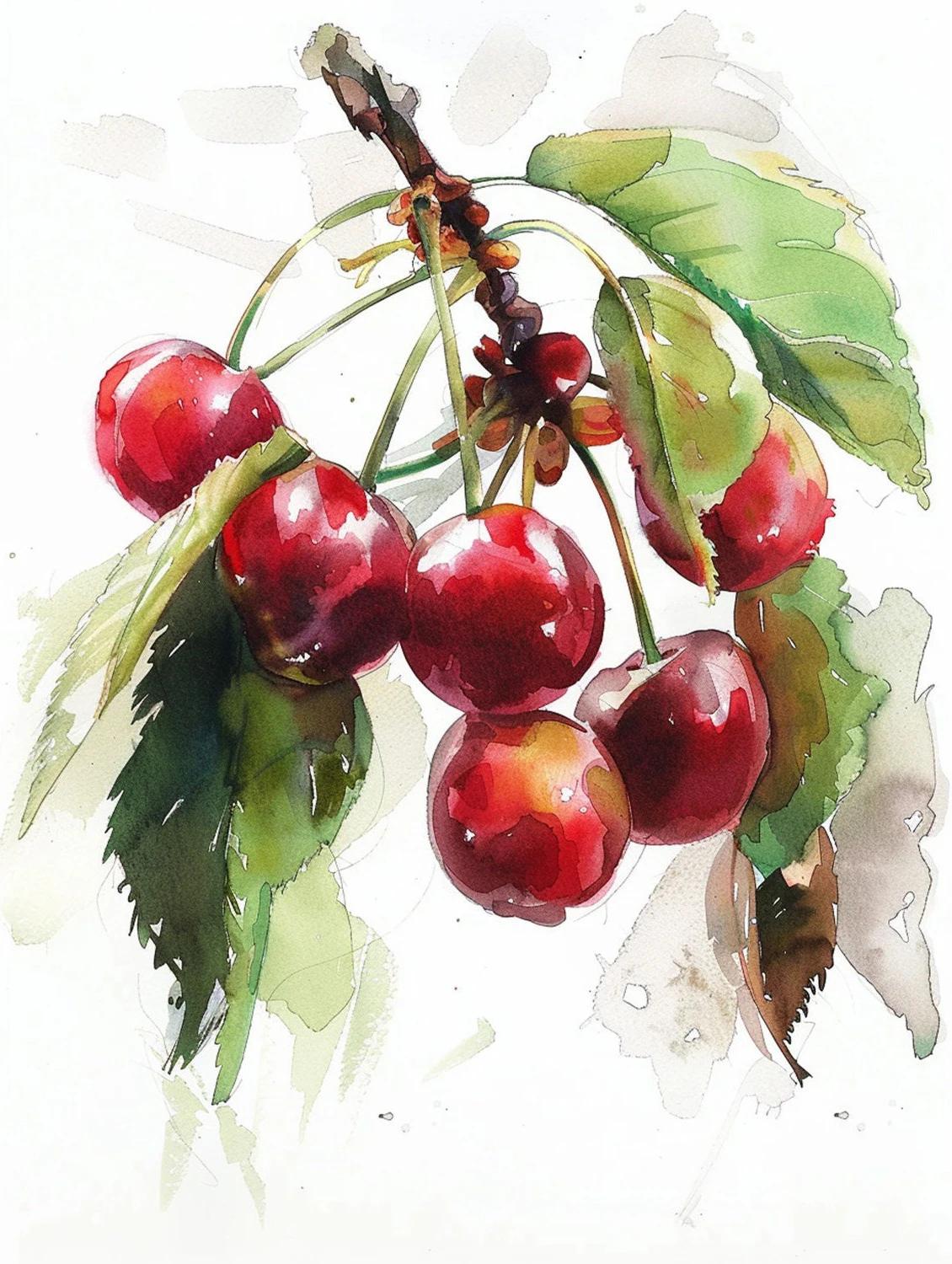 

Blueberry Grapes Peaches Pomegranate Watercolor Fruit Poster Canvas Painting Modern Nature Wall Art Picture Home Decor Gift 16x20inch 40x50cm