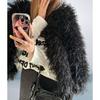 Women's clothing autumn and winter beach sheep hair imitation fur new artificial fur street girl long-sleeved top short