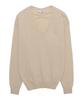 Eilubeu V-Neck Cashmere Aarapo101P
