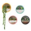 Nordic Wall-Mounted Round Pothos Planter: Creative Green Plant Decor & Fish Tank for Living Room