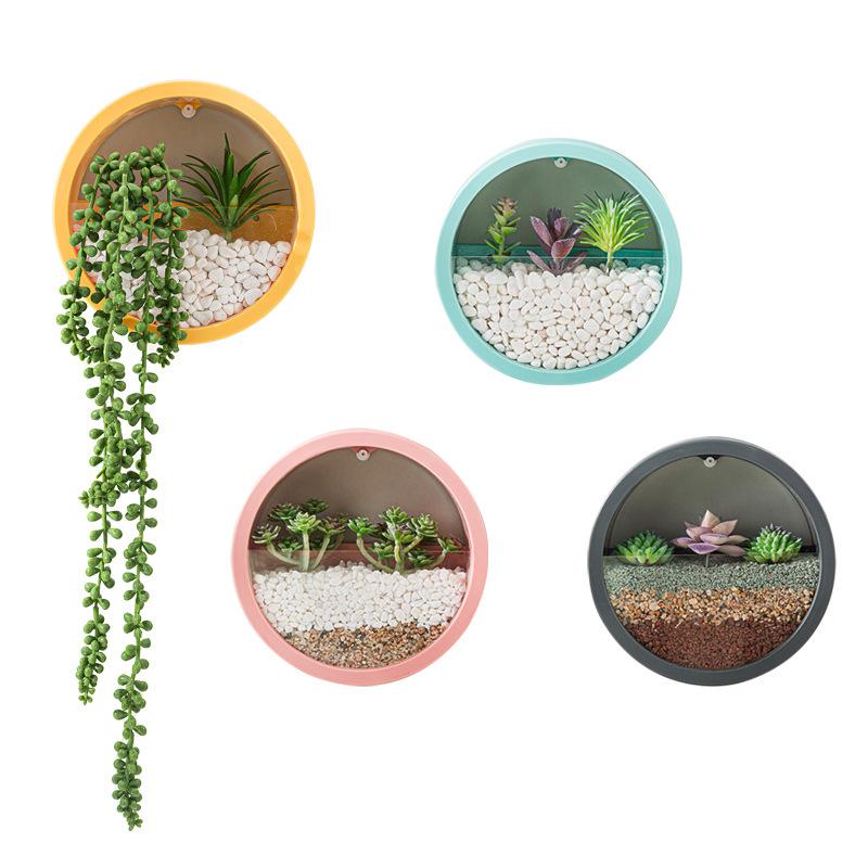 Nordic Wall-Mounted Round Pothos Planter: Creative Green Plant Decor & Fish Tank for Living Room