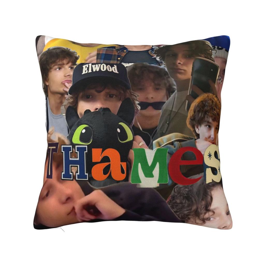 American Mason Thames Actor Pillow Cover Soft Pillow Case Cushion Cover Novelty Design Pillowcases For Wedding Party Home Decor
