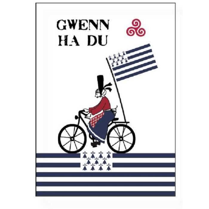 Torchons - Bigouden - Lot de 2 - 50 x 70 cm - 100% coton - Multicolore