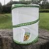 Insecte – Terarii pentru insecte