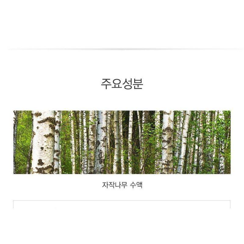 The Saem - Saemmul Perfect Pore Powder