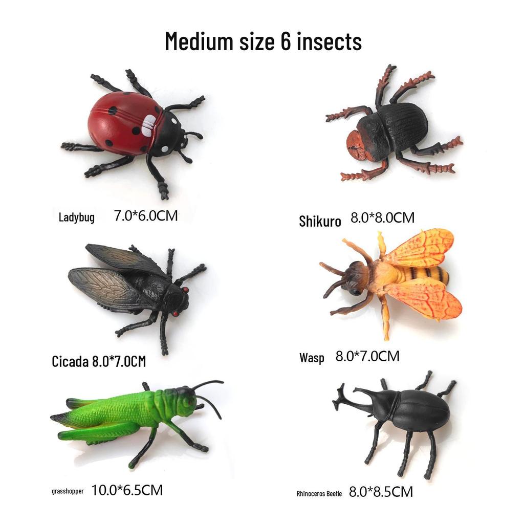 Children's Cognitive Teaching Toys: Insect Models - Butterfly, Ladybug, Rhinoceros Beetle, Bee, Grasshopper