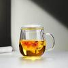 520ml Heat-Resistant Glass Tea Infuser Mug with Lid and Handle