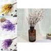 Beautiful Artificial Plum Blossom Branches For Year-round Home And Event Decor