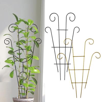 Indoor Potted Plants Support High Stability Rustproof Vertical Cultivation Simple Installation Metal Trellis Climbing Plant Holder
