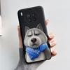 Case For Honor 50 Lite Cover on Huawei Nova 8i Phone Case Cute Rabbit Panda Painted Soft Back Cover For Honor50 Lite Nova8i Capa