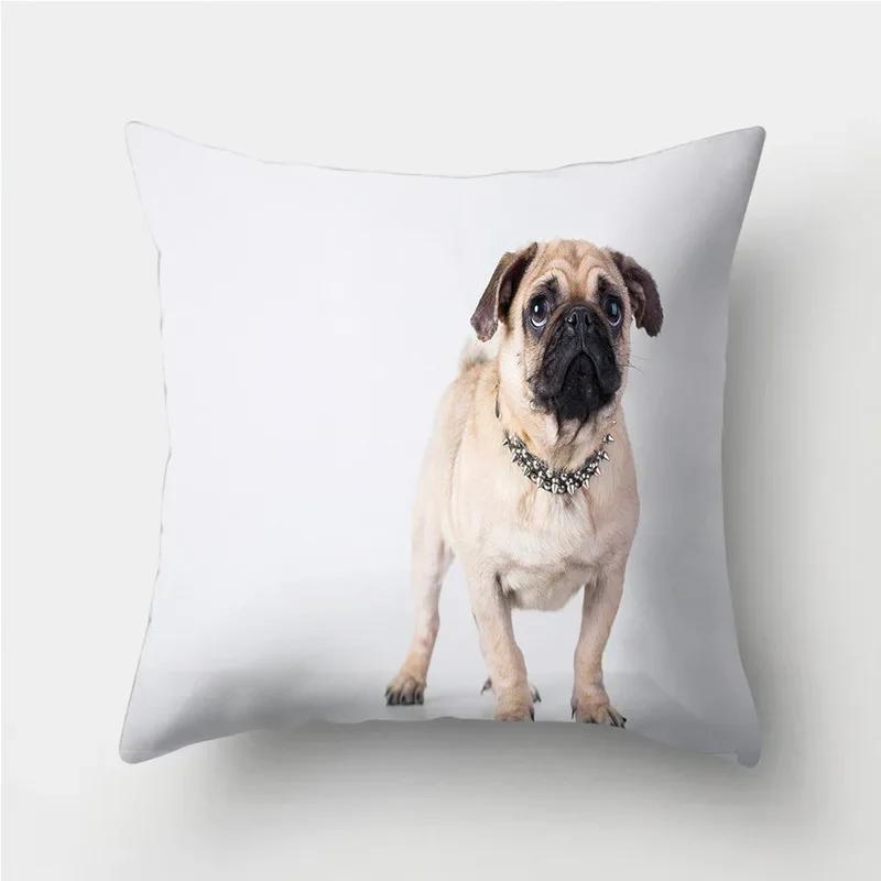 Cute Pug Bulldog Sofa Decorative Cushion Covers Pillowcase For Living Room  Polyester Pillow Case  Home Decor
