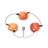 Children Bio Energy Science Kit Fun Potato Fruit Supply Electricity Experiments Toys Kids Student Learining Diy Science Toy