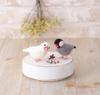 Hamanaka Wool Felting Kit Cute Small Birds Made with Sakura Java Sparrow and White Java - Aclaine Sparrow, H441-526