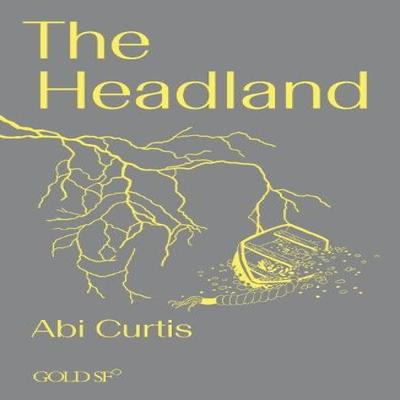 The Headland by Abi Curtis Paperback Book 9781915983121