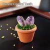 1PC Natural Crystal Stones Set Mini Clay Pot Base Amethyst Quartz Healing Gemstones Potted Plant Style Feng Shui Home Decor